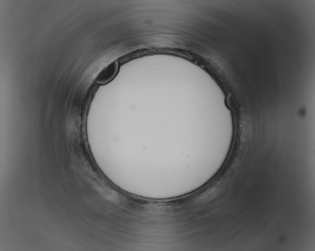 X0000115661065200912241354