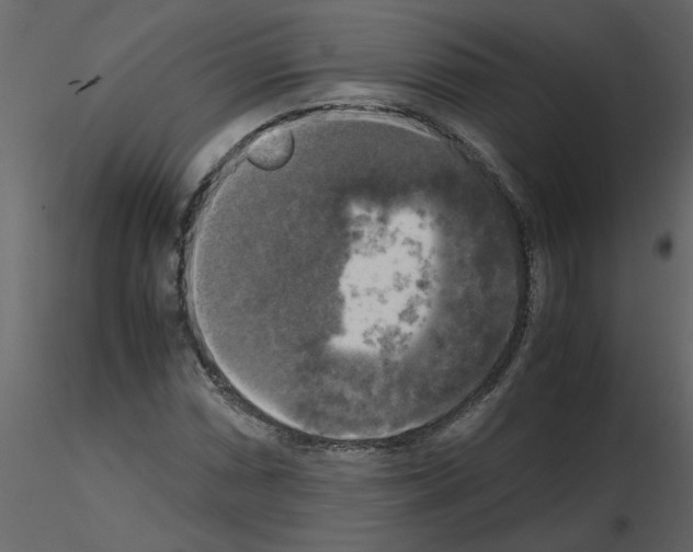 X0000115661066200912241354