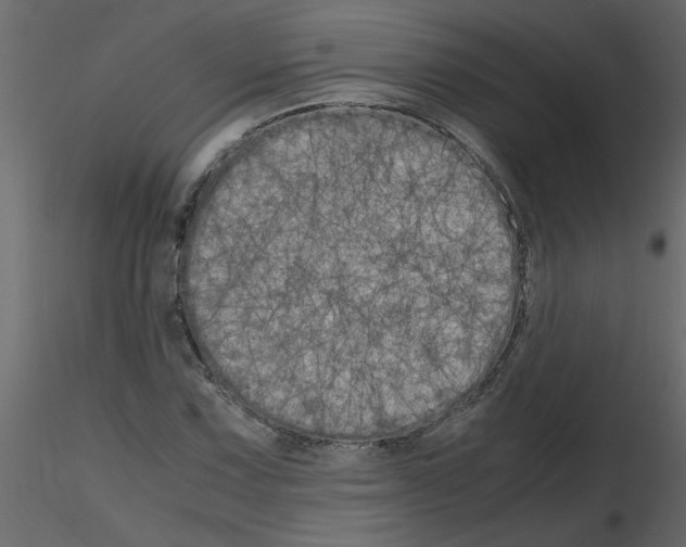 X0000115661067200912241354