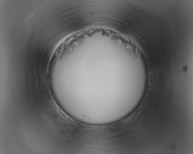 X0000115661068200912241354