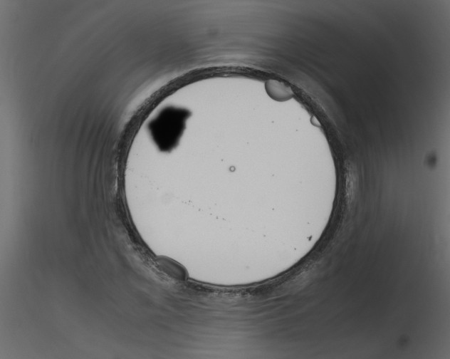 X0000115661069200912241354