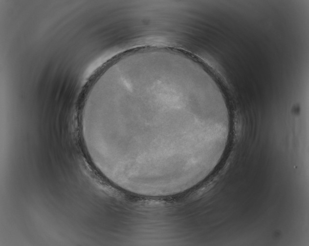 X0000115661070200912241354