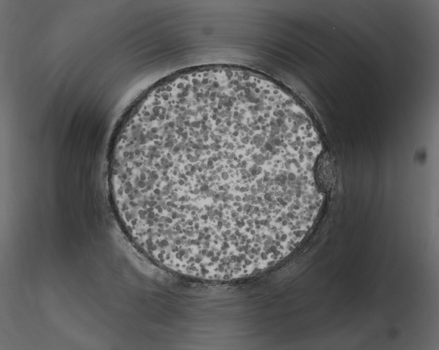 X0000115661072200912241354