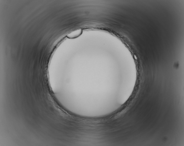 X0000115661073200912241354