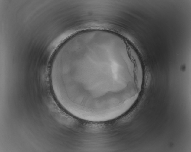 X0000115661074200912241354