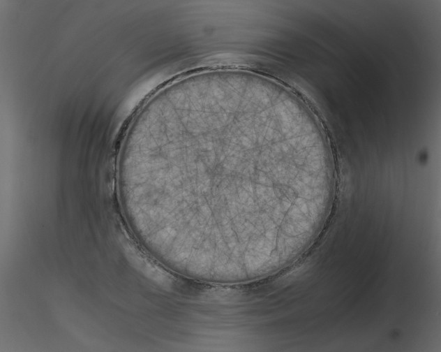 X0000115661075200912241354