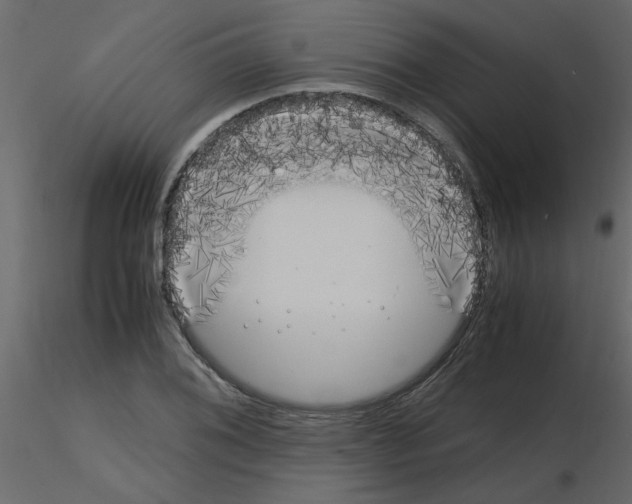 X0000115661076200912241354