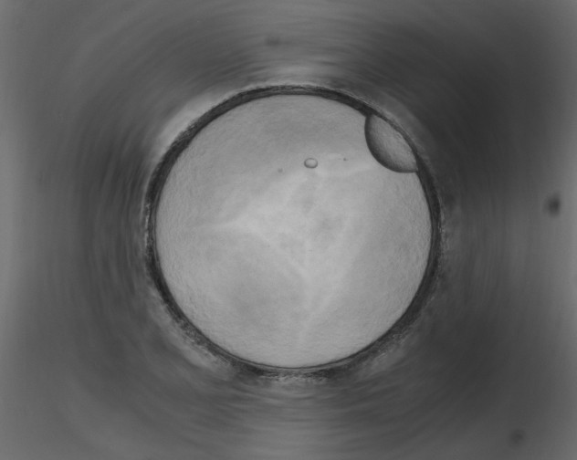 X0000115661077200912241354