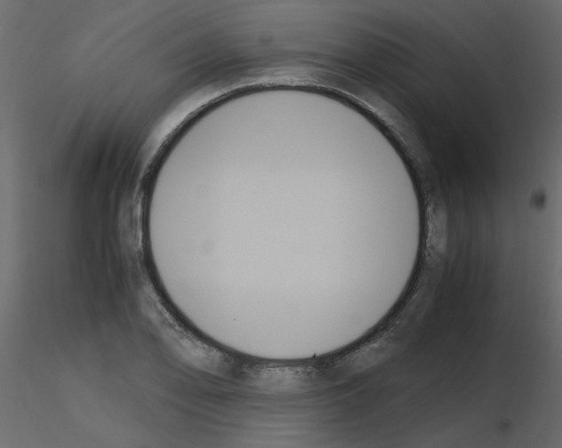 X0000115661078200912241354