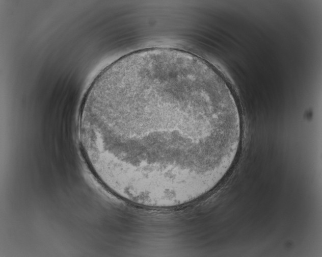 X0000115661080200912241354