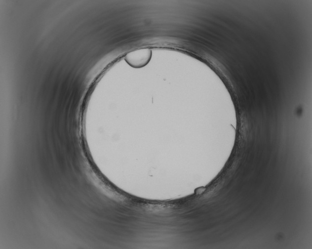 X0000115661082200912241354