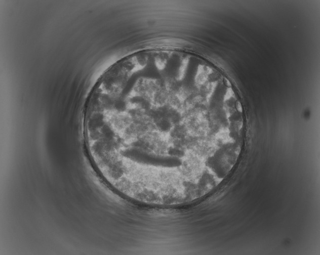 X0000115661083200912241354