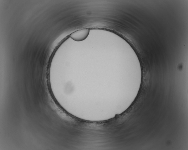 X0000115661086200912241354