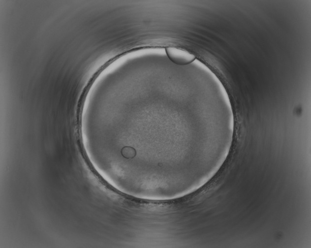 X0000115661087200912241354