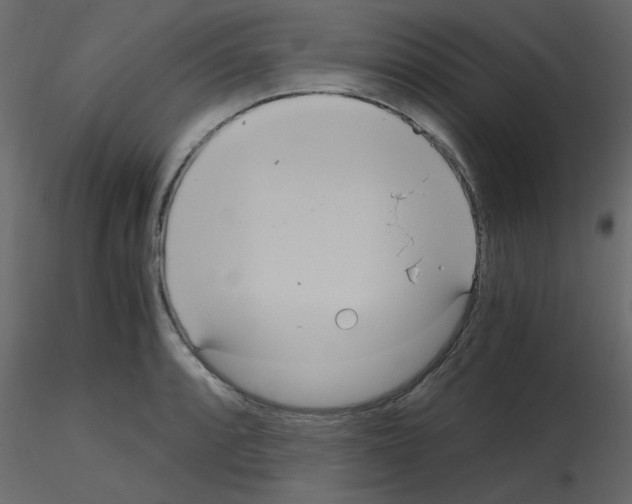 X0000115661088200912241354