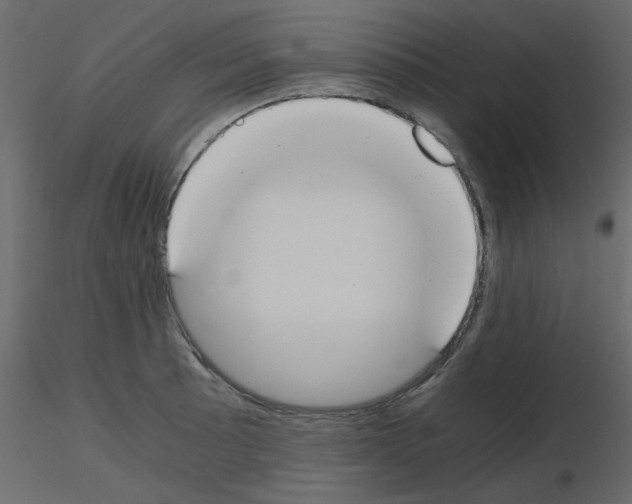 X0000115661089200912241354