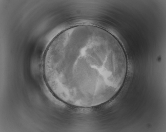 X0000115661090200912241354