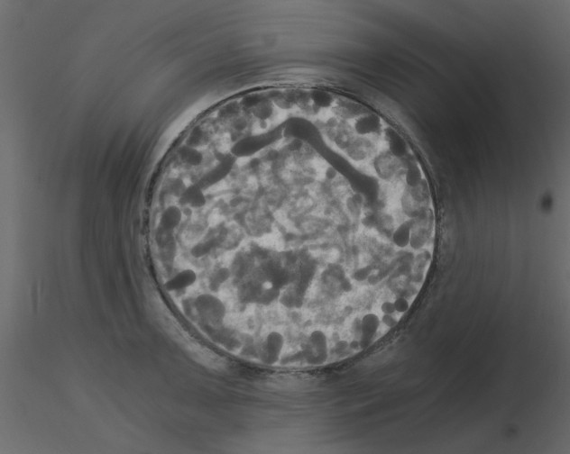 X0000115661091200912241354