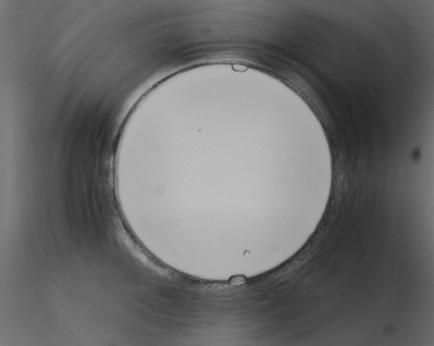 X0000115661092200912241354