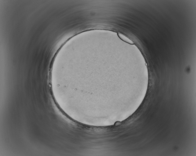 X0000115661095200912241353