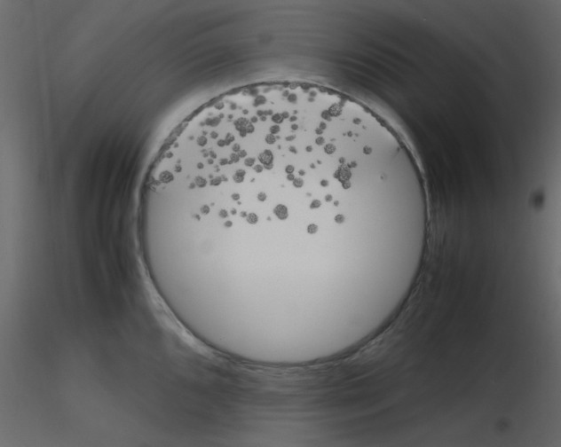 X0000115661096200912241353