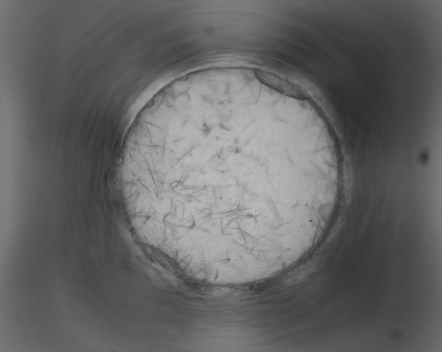 X0000115661097200912241353