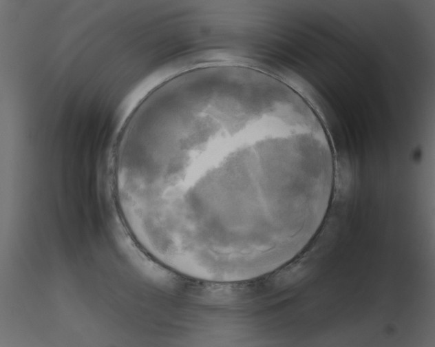 X0000115661098200912241353