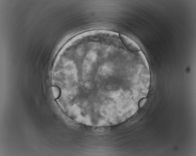 X0000115661099200912241353