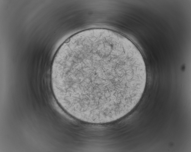 X0000115661100200912241353