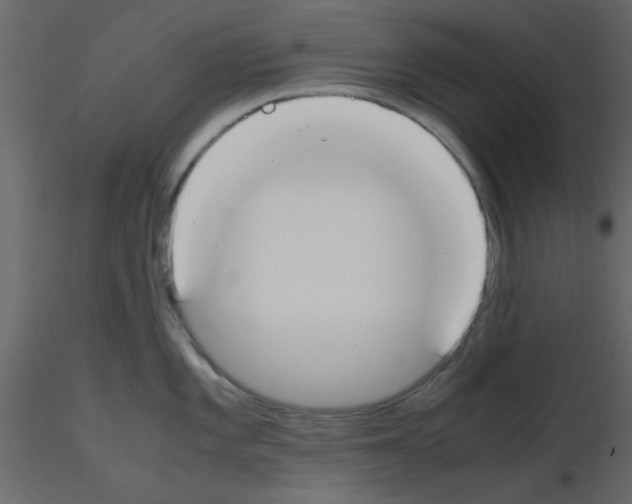 X0000115661101200912241353