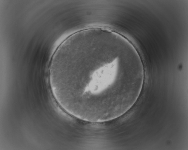 X0000115661102200912241353