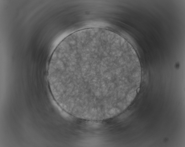 X0000115661103200912241353