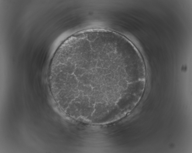 X0000115661104200912241353