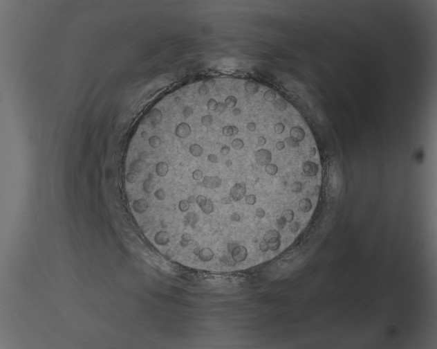 X0000115661105200912241353