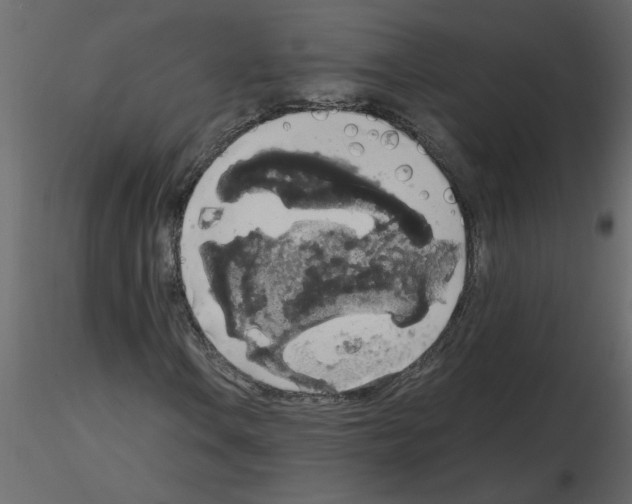 X0000115661106200912241353