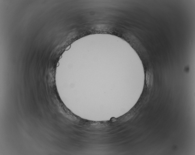 X0000115661107200912241353