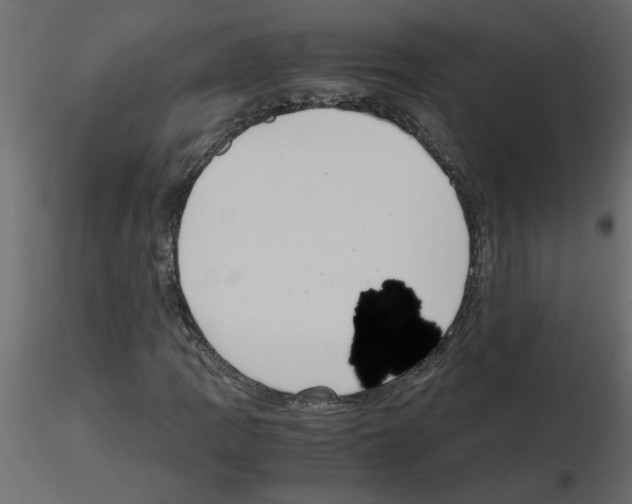 X0000115661109200912241353