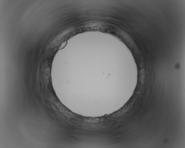 X0000115661111200912241353