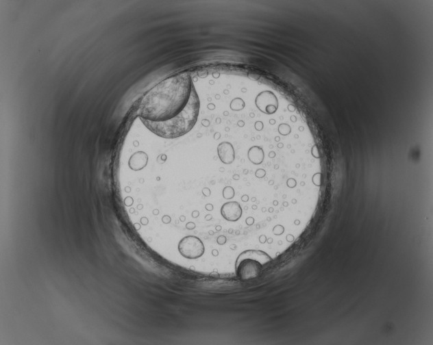 X0000115661113200912241353