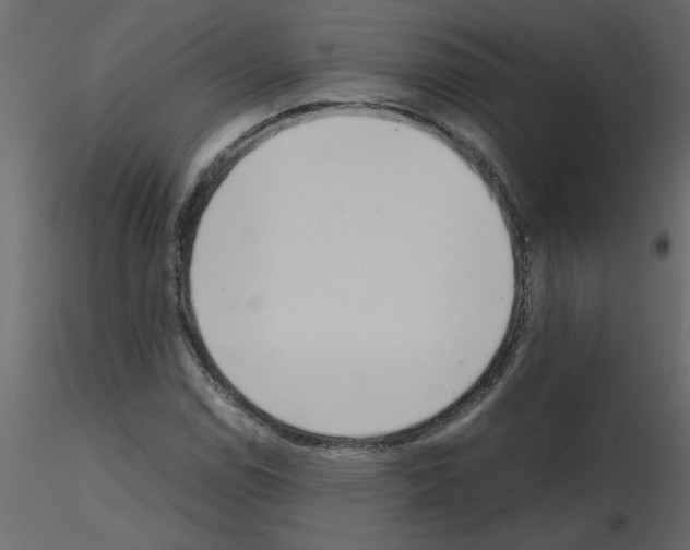 X0000115661114200912241353