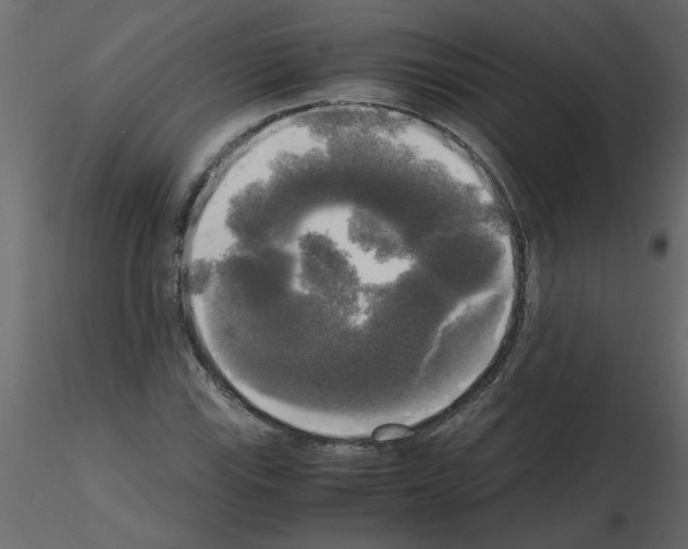 X0000115661115200912241353