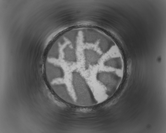 X0000115661117200912241353