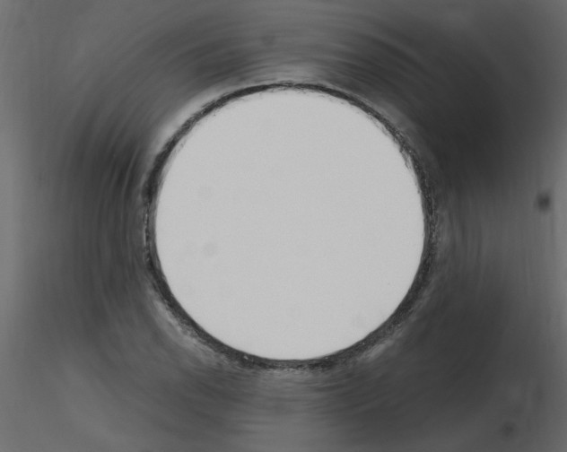 X0000115661118200912241353