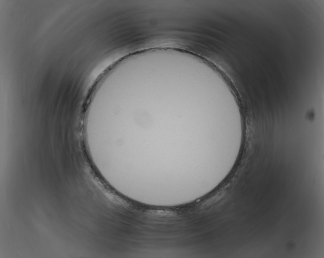 X0000115661119200912241353