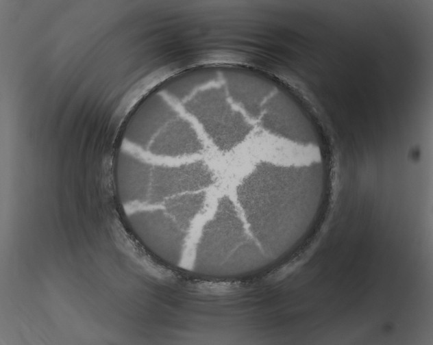 X0000115661121200912241353