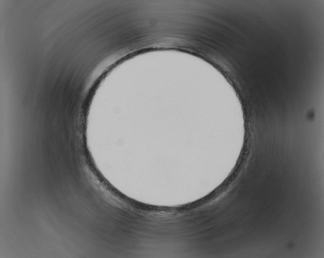 X0000115661122200912241353