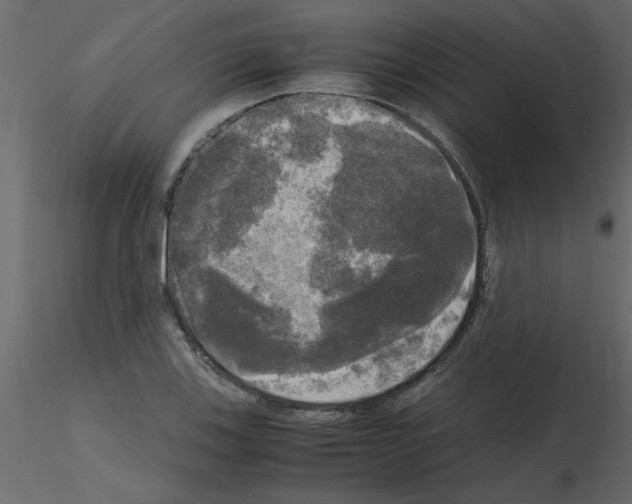 X0000115661123200912241353