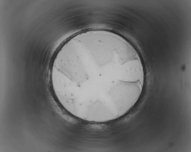 X0000115661125200912241353