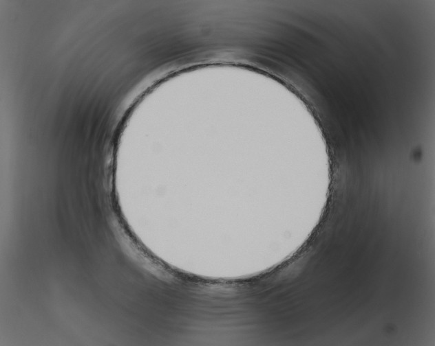 X0000115661126200912241353