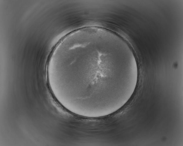 X0000115661127200912241353